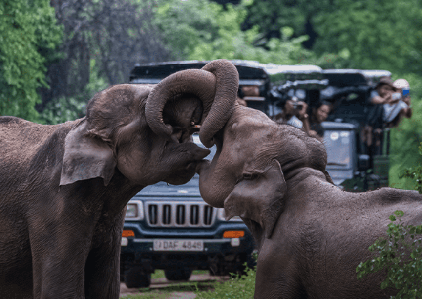 Temple of the Tooth - Sacred Buddhist temple in Kandy